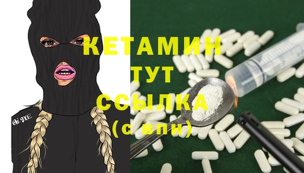 шишки Белокуриха