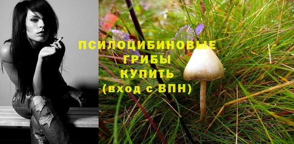 шишки Белокуриха