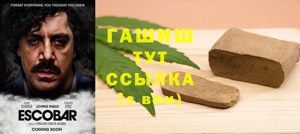 шишки Белокуриха