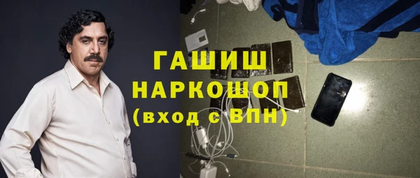 шишки Белокуриха
