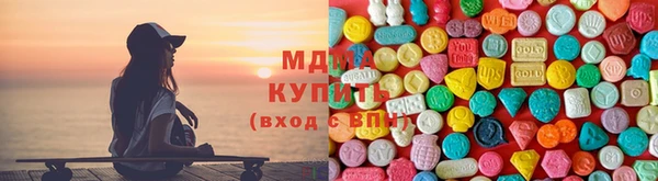 шишки Белокуриха
