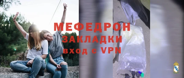 шишки Белокуриха