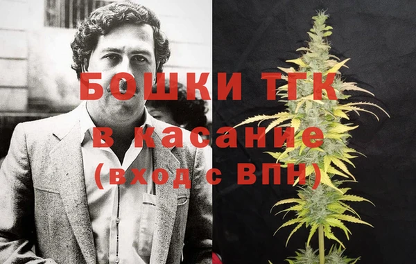шишки Белокуриха
