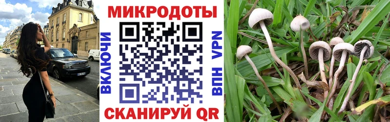 Псилоцибиновые грибы Magic Shrooms  Болохово 